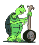turtle_e0.gif